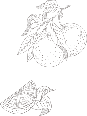 イラスト