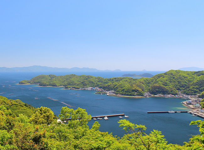 海と太陽が育てる、宇和島・吉田町のみかん
